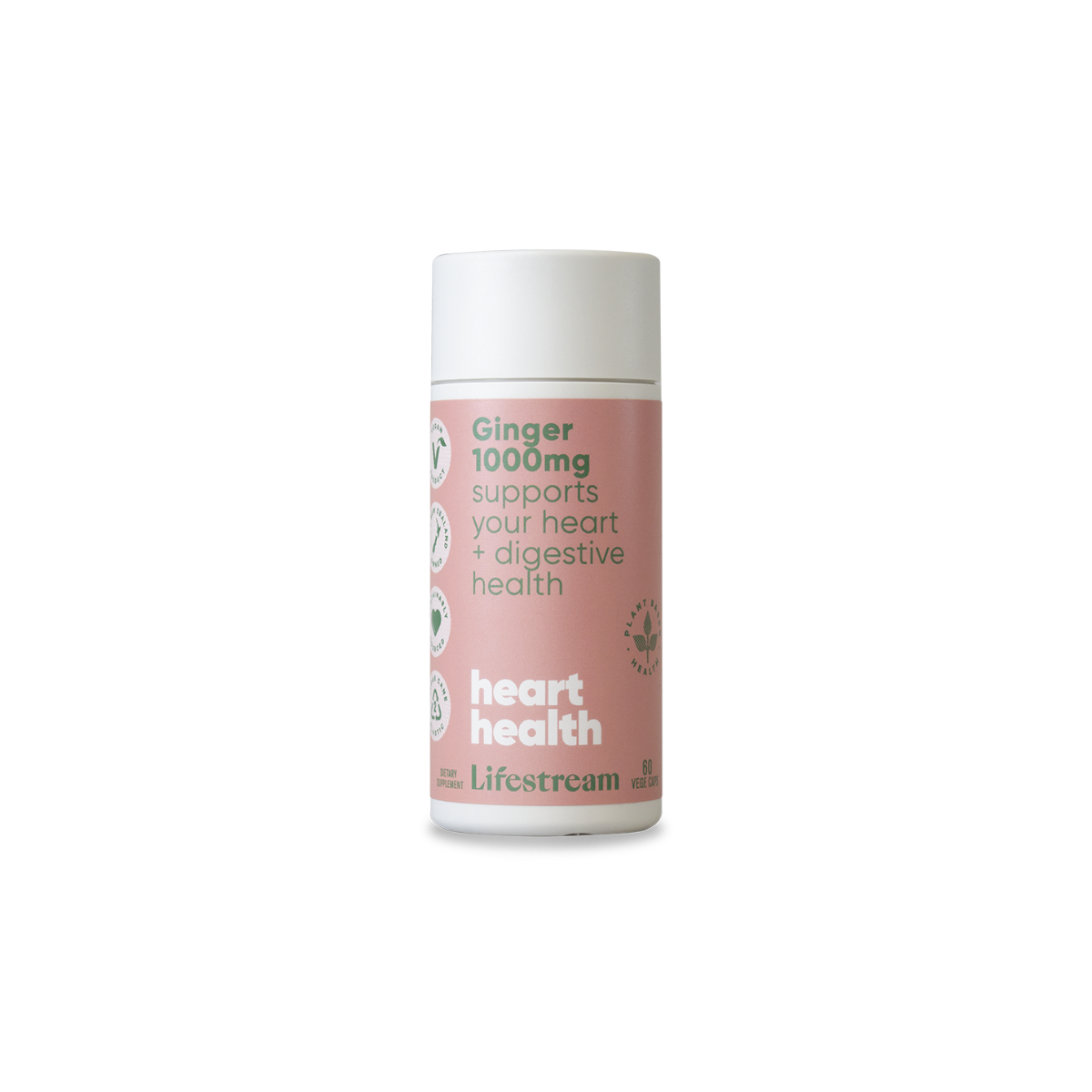 Ginger 1000mg