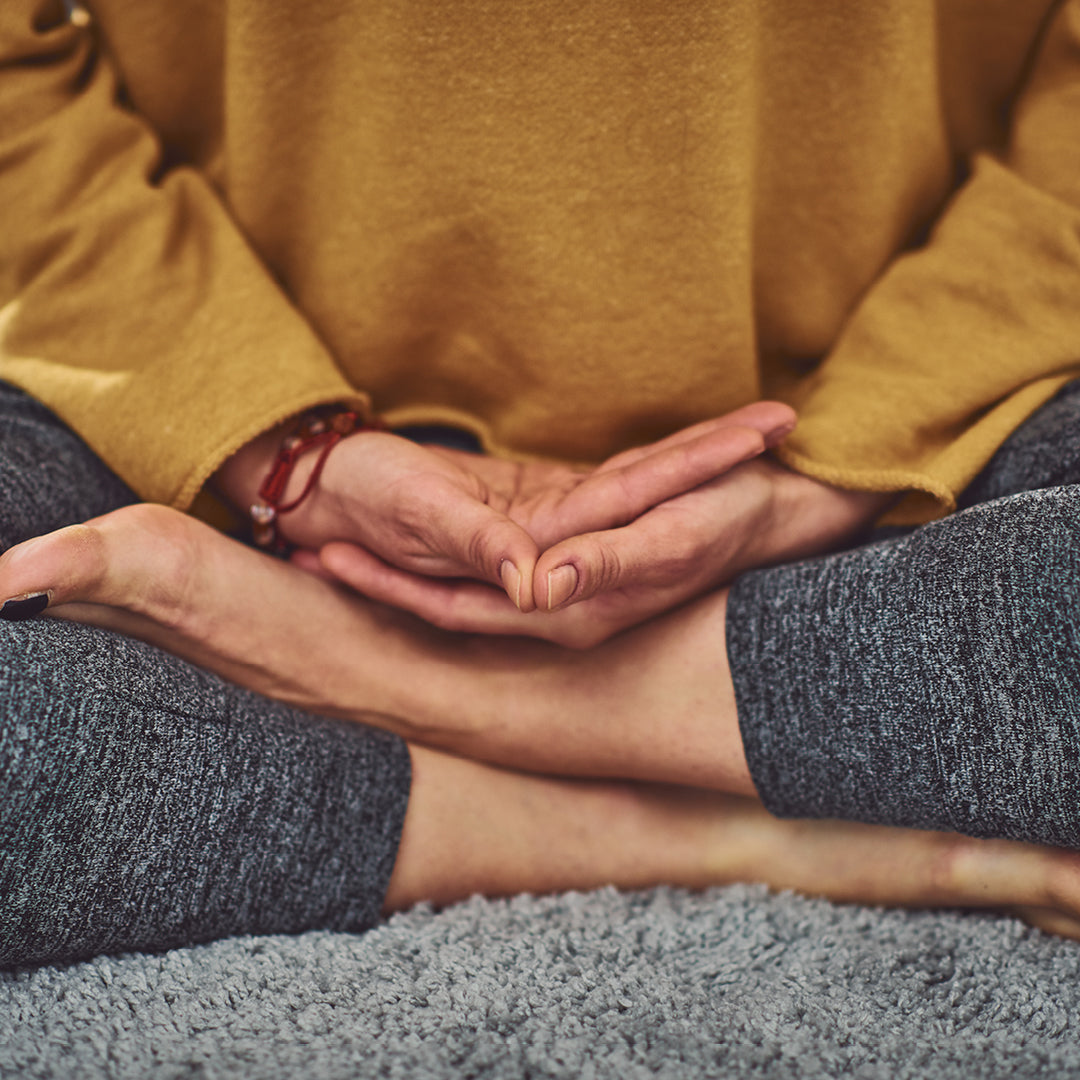 Gut Health & Digestion