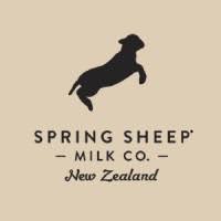 Spring Sheep