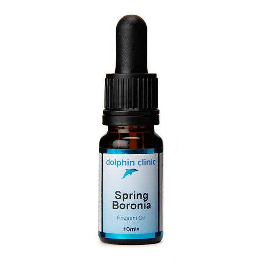 Spring Boronia Fragrant Oil