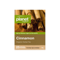 Planet Organic Cinnamon tea package with cinnamon sticks on a white background