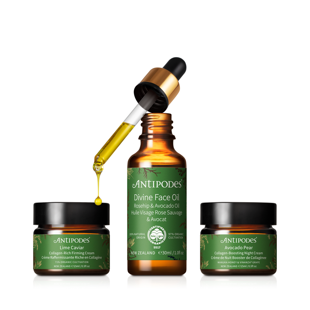 Collagen Boost Regime - Health 2000