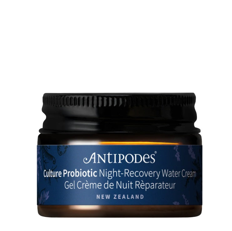 Culture Probiotic Night Recovery Water Cream - Health 2000