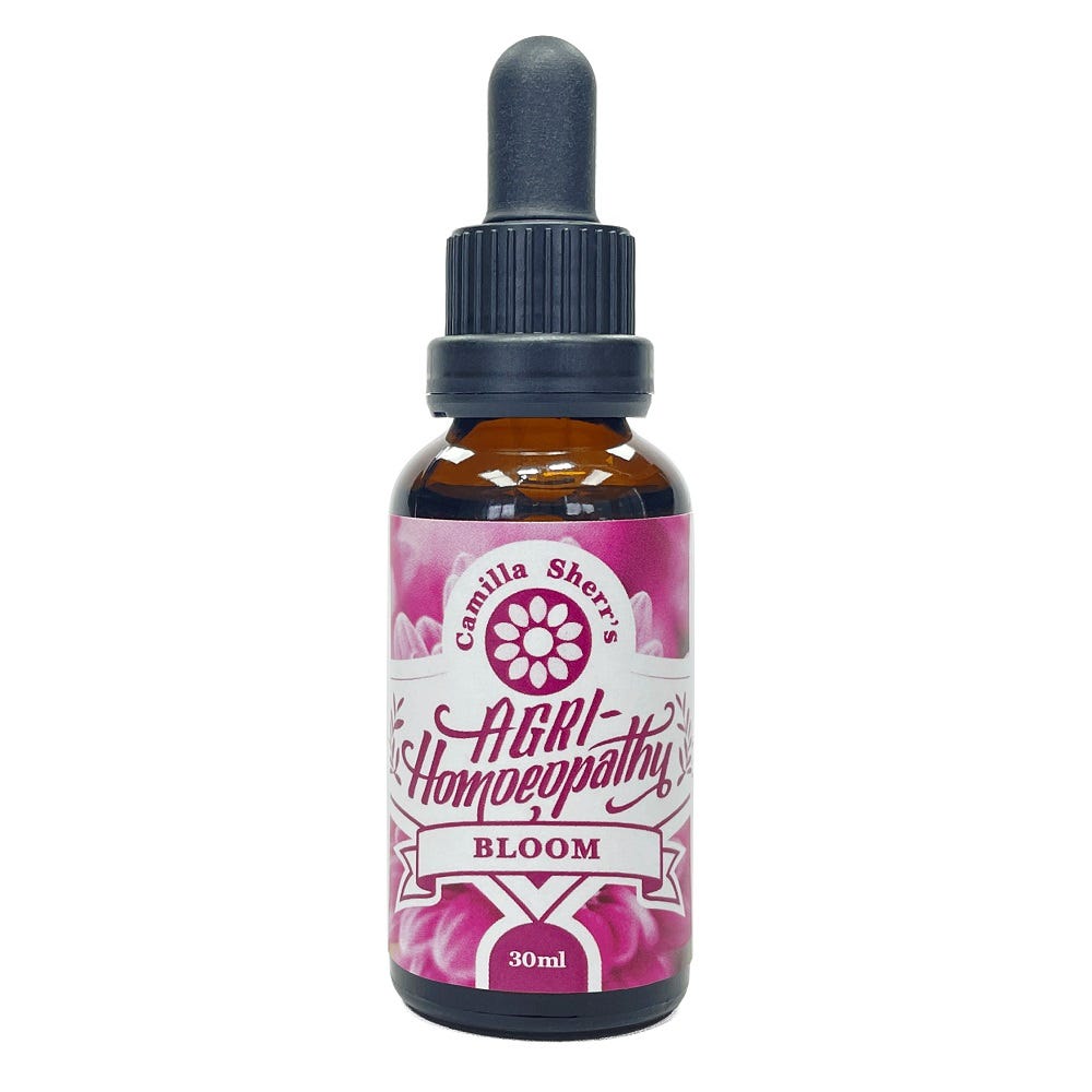 Camilla Sherr's - Bloom - Health 2000