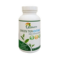 Green Tea Extract