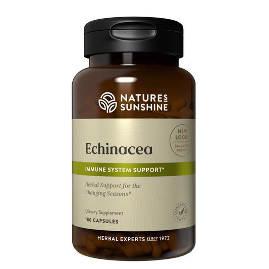 Echinacea