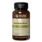 Image of Nature's Sunshine Marshmallow Bottle and Capsules providing respiratory support. 