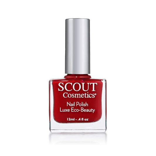Nail Polish Passion