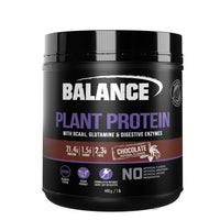 Plant Protein - Chocolate - Health 2000