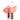 Coconut Splash Lip Gloss - Melon Fizz - Health 2000