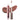 Coconut Splash Lip Gloss - Tan Lines - Health 2000
