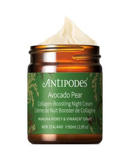 Avocado Pear Collagen-Boosting Night Cream - Health 2000