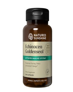 Echinacea Goldenseal - Health 2000
