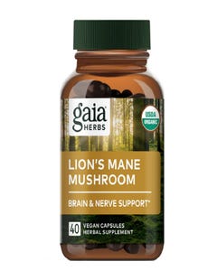Lion's Mane Mushroom - Health 2000