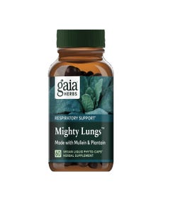 Mighty Lungs - Health 2000