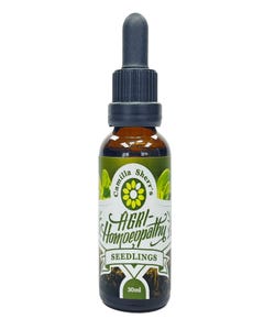 Camilla Sherr's - Seedlings - Health 2000
