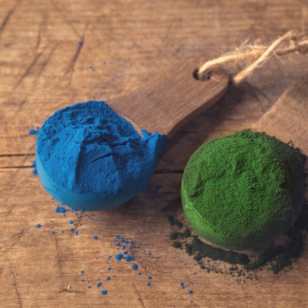 Your guide to spirulina – Nature’s nutritional powerhouse