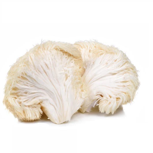 What is Lion's Mane? 