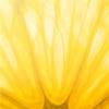 Vitamin C is not produced by your body, so you need to consume it regularly