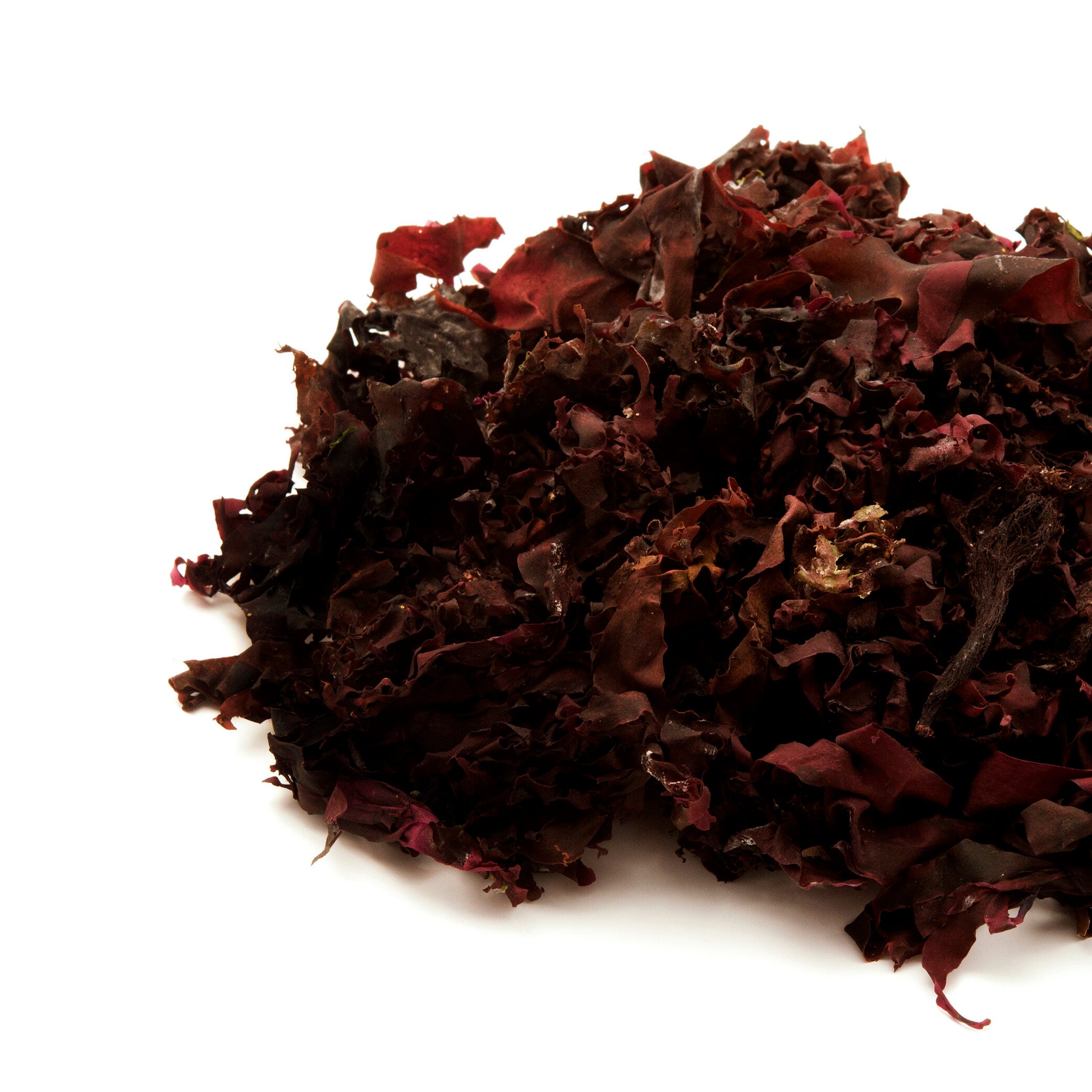 Atlantic Dulse Seaweed - your new nutritious powerhouse 