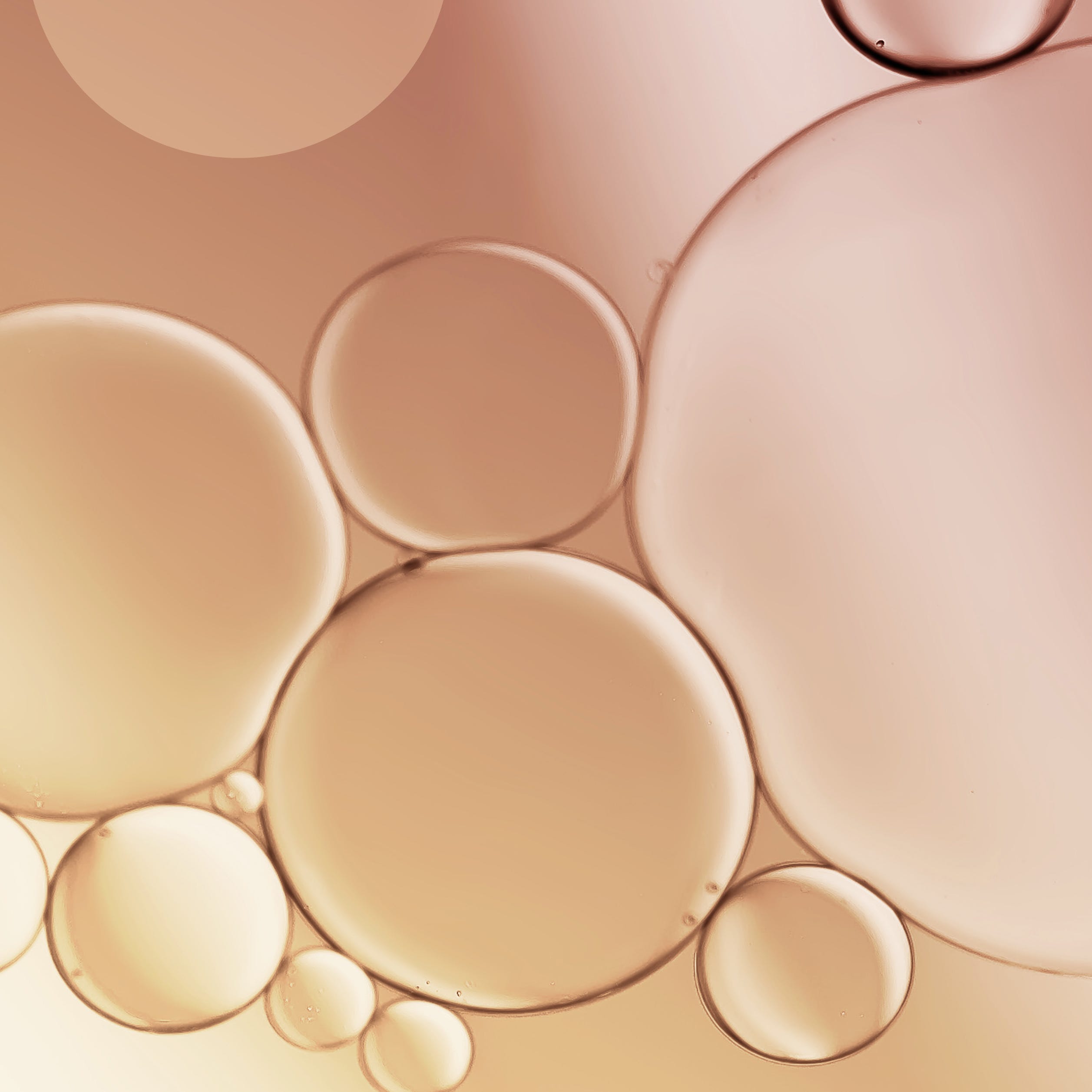What are Liposomes and how do they work?